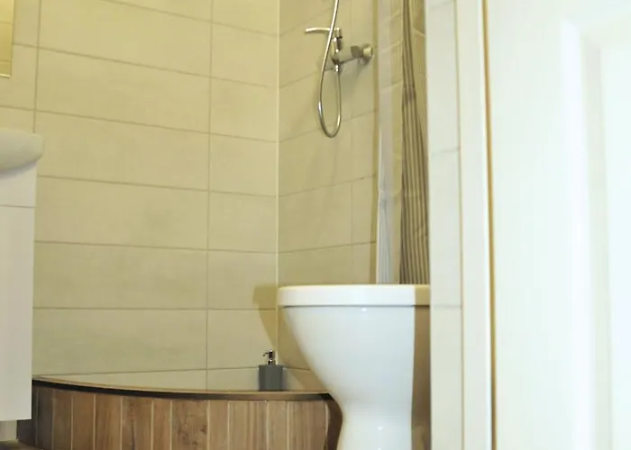 Smart Delux - центр міста, центр комфорту Lejlighed Uzjhorod